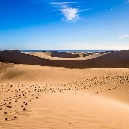 Palmas A Lado De Dunas De Maspalomas Prázdninový dům San Bartolomé