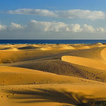 Nyaraló Palmas A Lado De Dunas De Maspalomas San Bartolomé