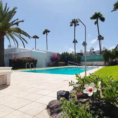 Palmas A Lado De Dunas De Maspalomas Feriehus